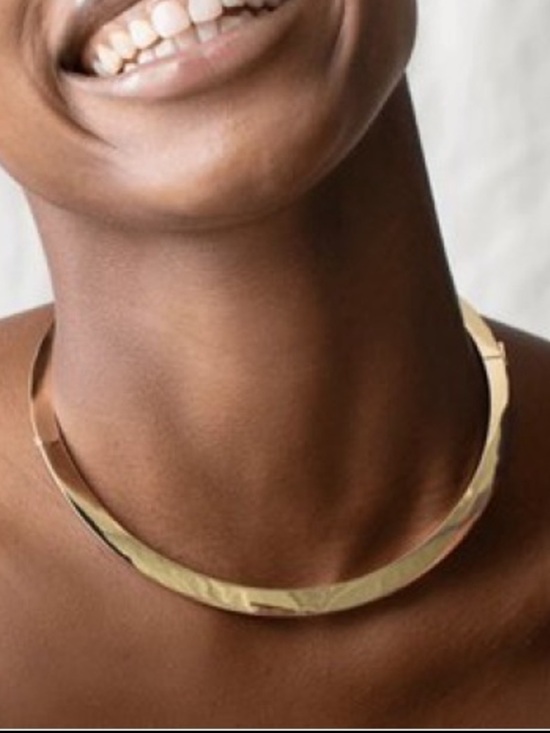 Jenny Bird Jewelry - JENNY BIRD 14k Gold Collar Necklace Sculpted Design NWOT